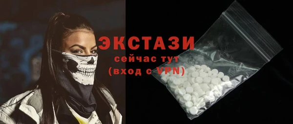 ECSTASY Бородино